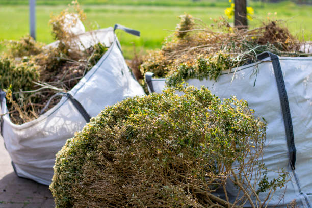 Best Moving and Downsizing Cleanouts  in Belmont, WI